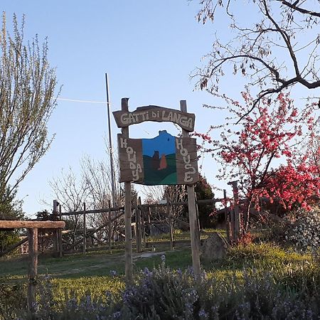 Gatti di Langa Villa Dogliani Bagian luar foto