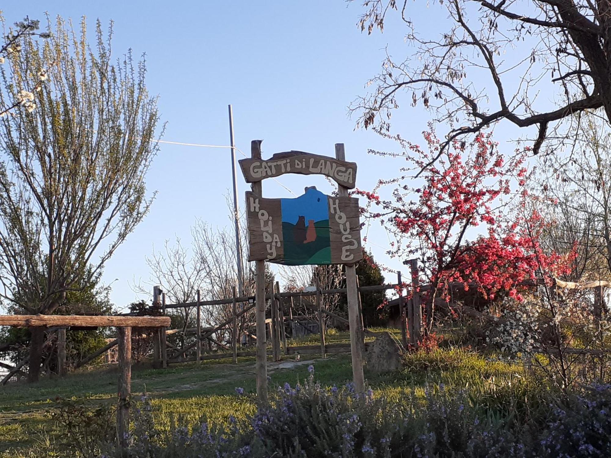 Gatti di Langa Villa Dogliani Bagian luar foto